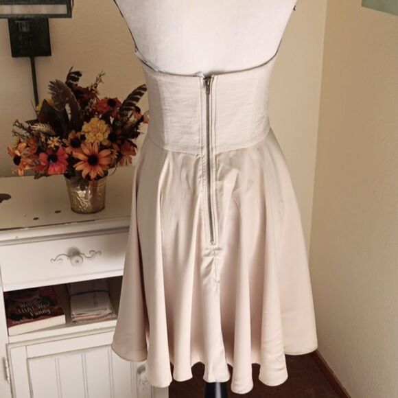 Ladakh Strapless Dress - Picture 7 of 12